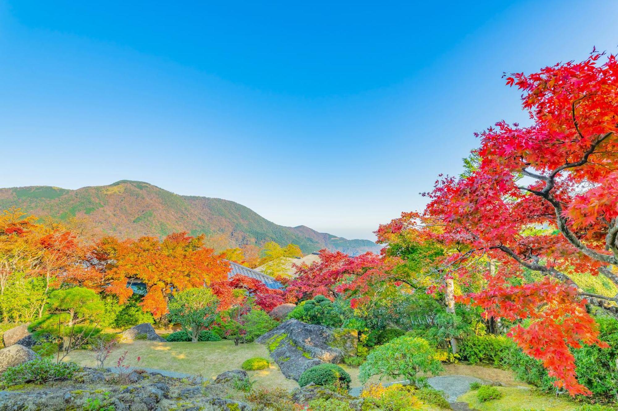 Hotel Oku Yugawara Sansuirou Esterno foto