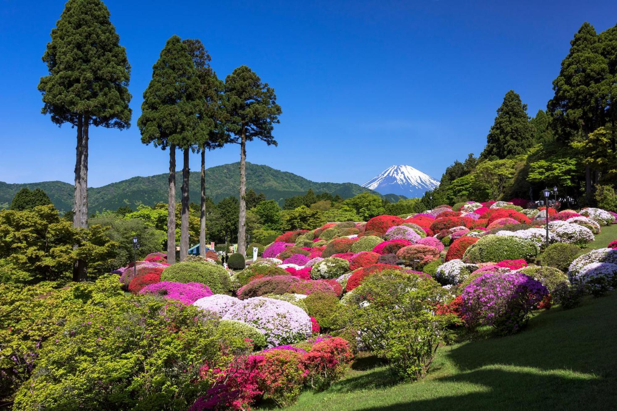 Hotel Oku Yugawara Sansuirou Esterno foto
